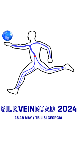 1713910046_silkveinroad2024.png